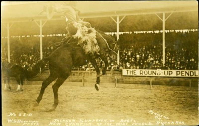 'I feel like a badass': Native American rodeo thrives as a younger generation takes the reins | Native Americans | The Guardian