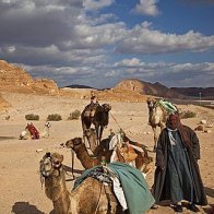 Egypt’s Sinai Bedouins fear Israel’s mass displacement of Gaza Palestinians