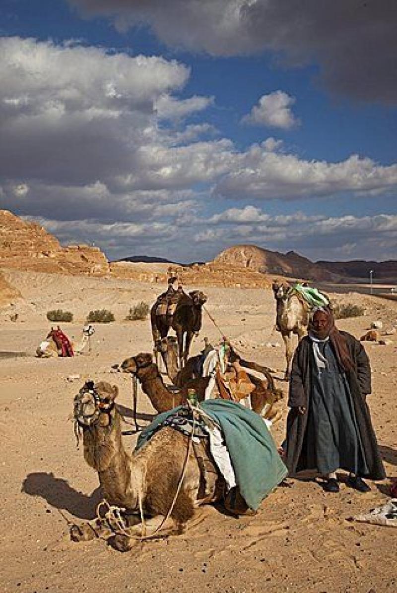 Egypt’s Sinai Bedouins fear Israel’s mass displacement of Gaza Palestinians