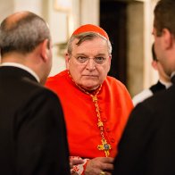 Pope is evicting viciously anti-LGBTQ+ Cardinal from his home & yanking his pay - LGBTQ Nation