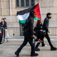 Why is Gen Z so pro-Palestine and anti-Israel? 