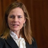 Amy Coney Barrett Says Ruling For Open Border Has Nothing To Do With Landscaping Work She Needs Done This Summer