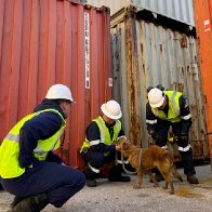 Dog rescued after being trapped in a shipping container in Texas