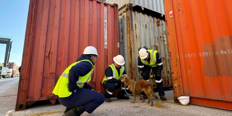 Dog rescued after being trapped in a shipping container in Texas