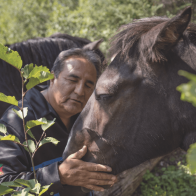 Lac La Croix pony saved from extinction by the Ojibwe | Broadview Magazine