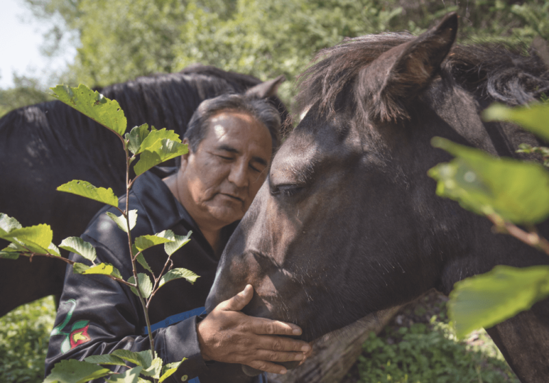 Lac La Croix pony saved from extinction by the Ojibwe | Broadview Magazine
