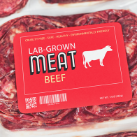 Lab-Made Meat? Florida Lawmakers Don’t Like the Sound of It.