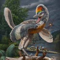 Scientists Discover Birds Lied About Being Related To Dinosaurs