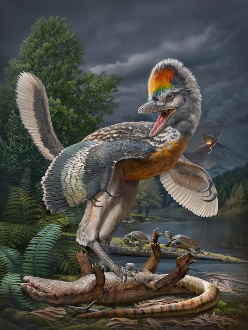 Scientists Discover Birds Lied About Being Related To Dinosaurs