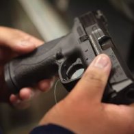 Undocumented Immigrants Have Right to Own Guns, Judge Rules