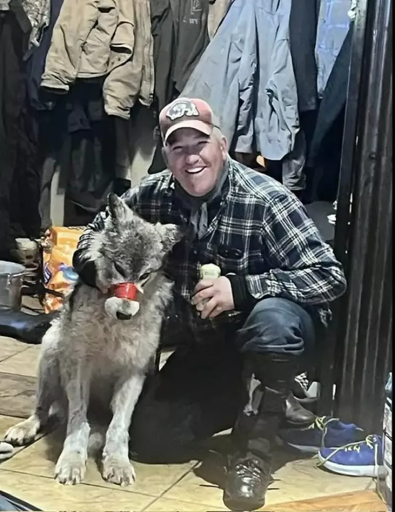 WOLF TORMENT Cruel hunter parades tortured wolf with TAPE around its mouth before taking wounded animal to bar & finally killing it
