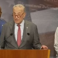 Democrats Promise There's No Way A Person Who Entered The Country Illegally Would Ever Vote Illegally