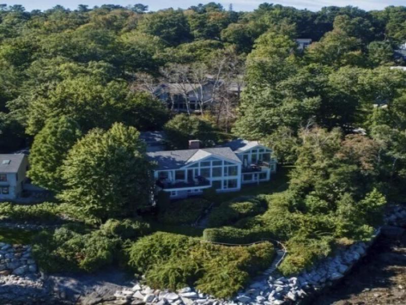 Poisoned trees gave a wealthy couple a killer view — and united residents in outrage