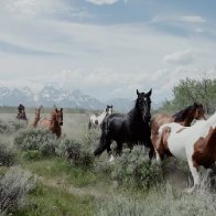 Wyoming offers to sell land to Grand Teton park — or it could go to developers