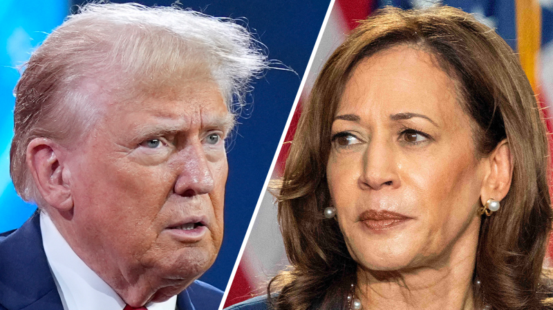 Kamala Harris leading Donald Trump by 7 points in new poll