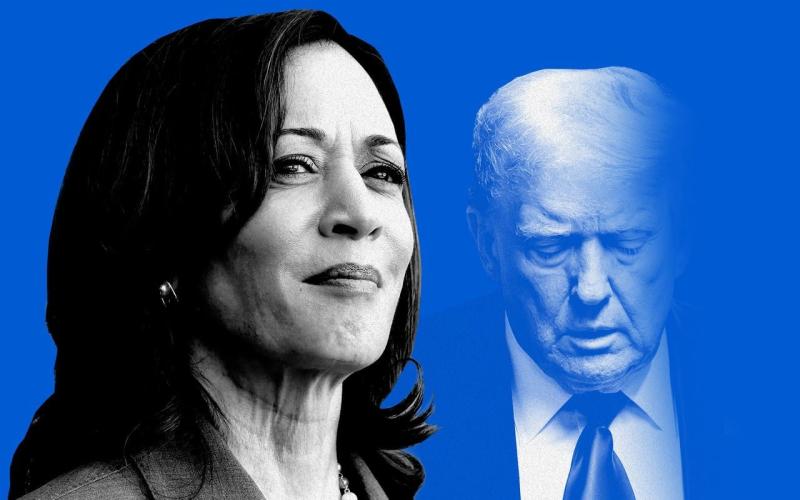 US Election: Kamala Harris will beat Donald Trump to the White House, Telegraph poll predicts