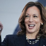 Goldman Sachs: Odds of Kamala-powered blue wave are swelling | Fortune