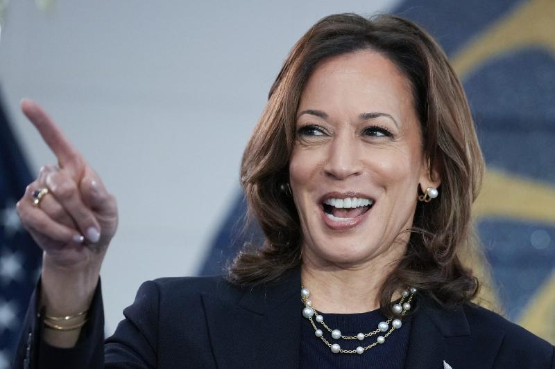 Goldman Sachs: Odds of Kamala-powered blue wave are swelling | Fortune