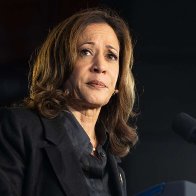 After Extensive Research, Political Experts Believe Harris Struggling To Connect With Male Voters Because She's Awful