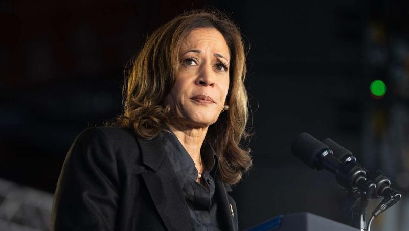 After Extensive Research, Political Experts Believe Harris Struggling To Connect With Male Voters Because She's Awful