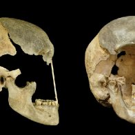 A new timeline of when Neanderthals and ancient humans interbred