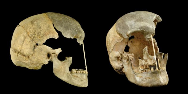 A new timeline of when Neanderthals and ancient humans interbred