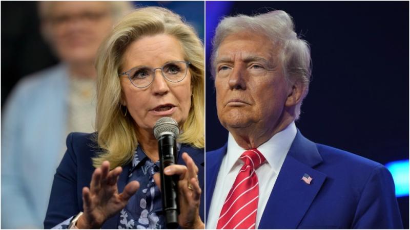 Liz Cheney Shuts Down Trump's 'Malicious Lies' With Blunt Jan. 6 Reminder