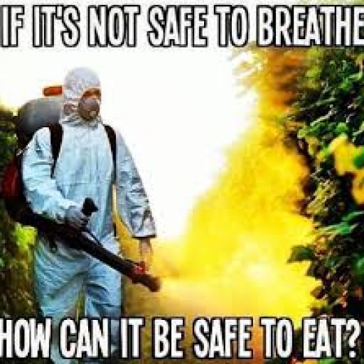 Safe to Eat
