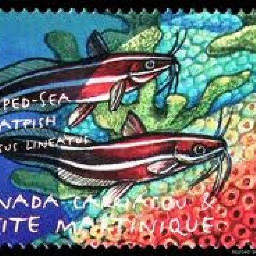 stamp-striped-sea-catfish