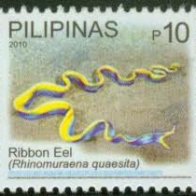 stamp-eel-ribbon