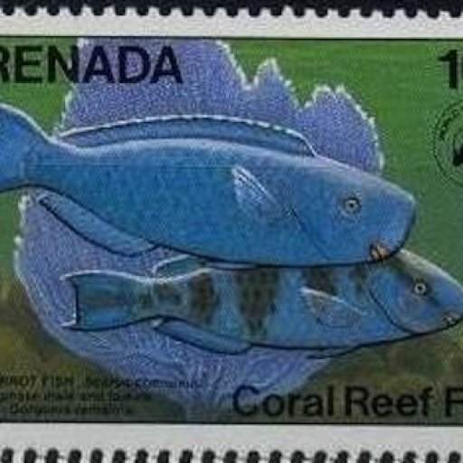 stamp-fish-blue-parrot-500x