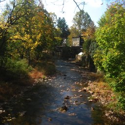 stream-sunny-day-IMG_4945.JPG.jpg