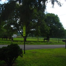 horse-outdoors-IMG_4013-2272x1704.JPG.jpg