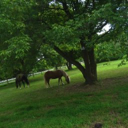 horse-outdoors-IMG_4020-2272x1704.JPG.jpg