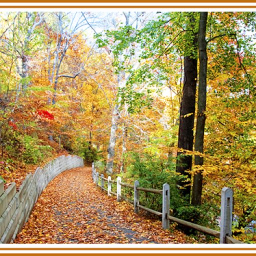 Autumn, Fairmount Park, Philadelphia, Pennsylvania