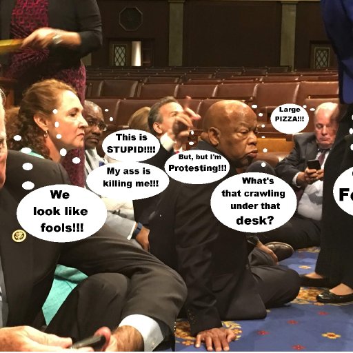 Democrats protesting on House Floor