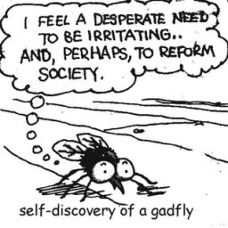 Gadfly.png