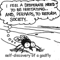 Gadfly.png