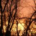 Sitting on the back deck and enjoying a Nice Sunset -  03-04-2012 001