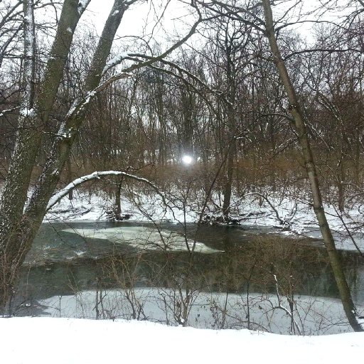 Winter By The Creek