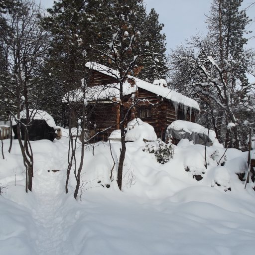 Cabin winter 2012