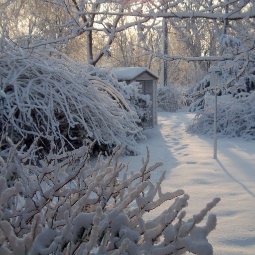 Icestorm - February 26 2013 Wichita KS