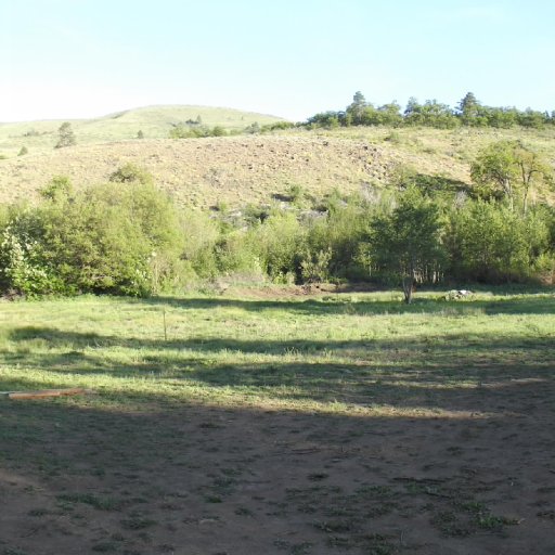 The Field Panorama