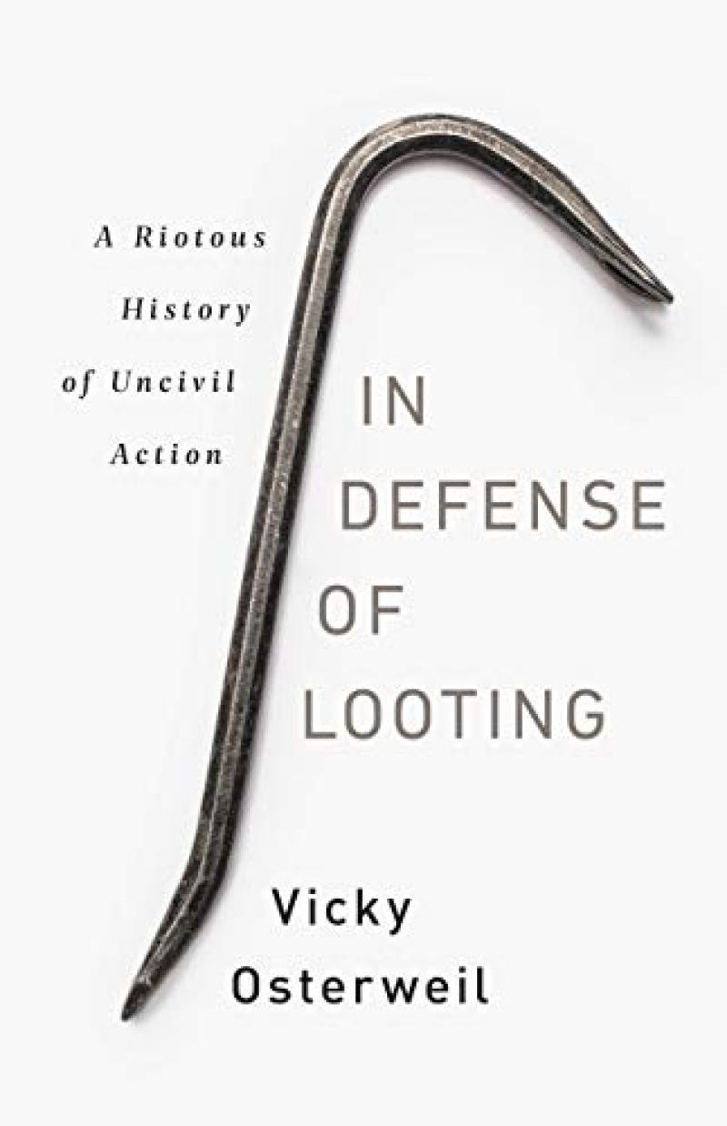 In Defense of Looting: A Riotous History of Uncivil Action 