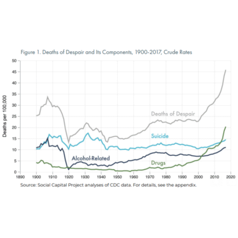 ‘Deaths of despair’ are rising. It’s time to define despair