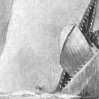 The True-Life Horror That Inspired Moby-Dick