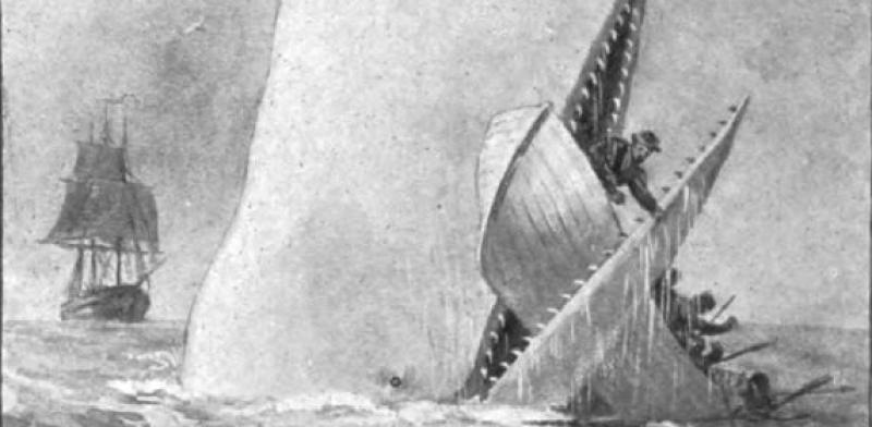 The True-Life Horror That Inspired Moby-Dick