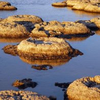 BBC - Travel - Stromatolites: The Earth's oldest living lifeforms