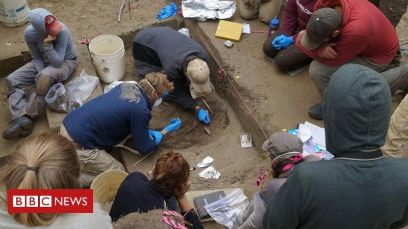 Alaskan infant's DNA tells story of 'first Americans' - BBC News  ( 01/03/2018 )