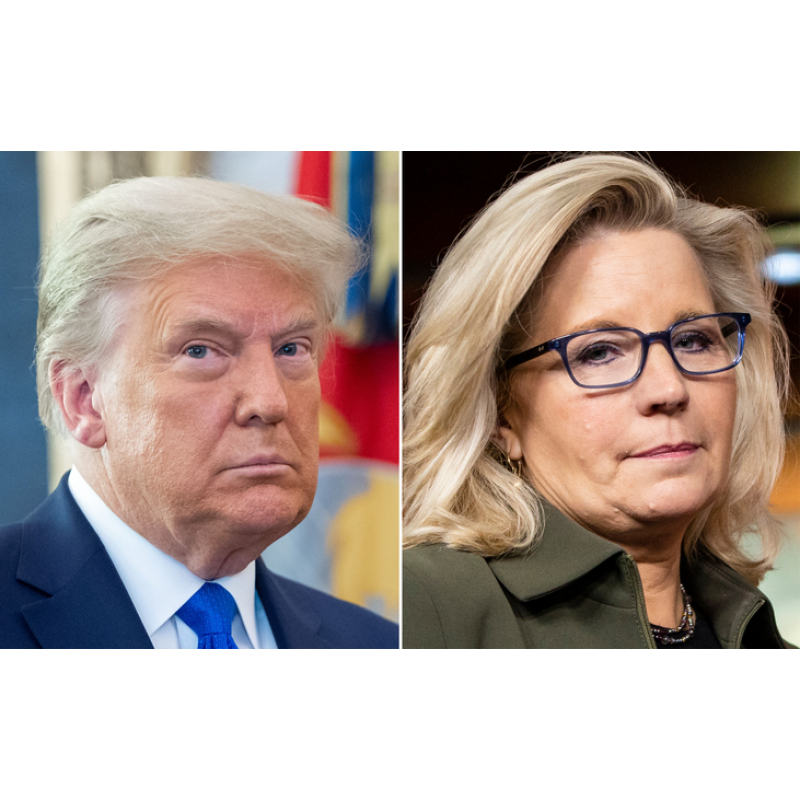 In Liz Cheney vs. Donald Trump, Guess Who Won